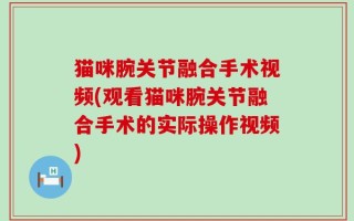 猫咪腕关节融合手术视频(观看猫咪腕关节融合手术的实际操作视频)
