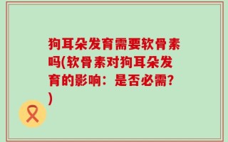 狗耳朵发育需要软骨素吗(软骨素对狗耳朵发育的影响：是否必需？)