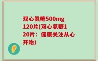 双心氨糖500mg 120片(双心氨糖120片：健康关注从心开始)