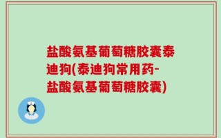 盐酸氨基葡萄糖胶囊泰迪狗(泰迪狗常用药-盐酸氨基葡萄糖胶囊)