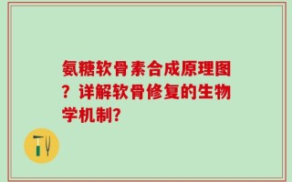 氨糖软骨素合成原理图？详解软骨修复的生物学机制？