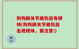 狗狗脚关节崴伤后有硬块(狗狗脚关节崴伤后出现硬块，需注意!)