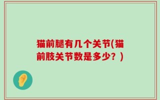 猫前腿有几个关节(猫前肢关节数是多少？)