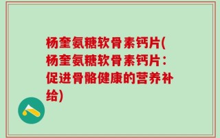 杨奎氨糖软骨素钙片(杨奎氨糖软骨素钙片：促进骨骼健康的营养补给)