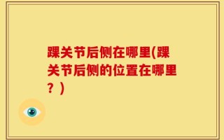 踝关节后侧在哪里(踝关节后侧的位置在哪里？)