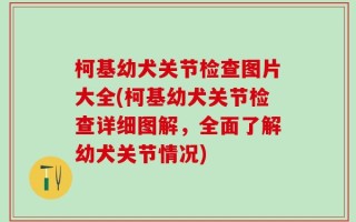 柯基幼犬关节检查图片大全(柯基幼犬关节检查详细图解，全面了解幼犬关节情况)