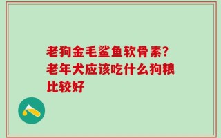 老狗金毛鲨鱼软骨素？老年犬应该吃什么狗粮比较好