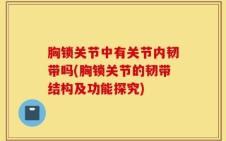 胸锁关节中有关节内韧带吗(胸锁关节的韧带结构及功能探究)