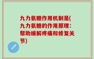 九力氨糖作用机制是(九力氨糖的作用原理：帮助缓解疼痛和修复关节)