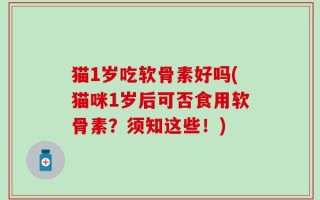 猫1岁吃软骨素好吗(猫咪1岁后可否食用软骨素？须知这些！)