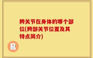 胯关节在身体的哪个部位(胯部关节位置及其特点简介)