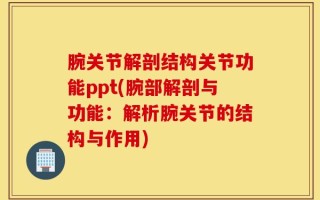 腕关节解剖结构关节功能ppt(腕部解剖与功能：解析腕关节的结构与作用)
