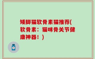 矮脚猫软骨素猫推荐(软骨素：猫咪骨关节健康神器！)