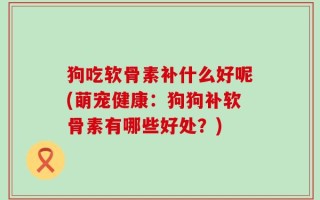 狗吃软骨素补什么好呢(萌宠健康：狗狗补软骨素有哪些好处？)