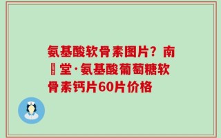 氨基酸软骨素图片？南雲堂·氨基酸葡萄糖软骨素钙片60片价格