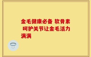 金毛健康必备 软骨素 呵护关节让金毛活力满满