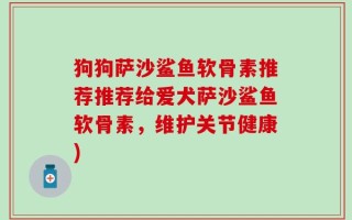狗狗萨沙鲨鱼软骨素推荐推荐给爱犬萨沙鲨鱼软骨素，维护关节健康)