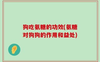 狗吃氨糖的功效(氨糖对狗狗的作用和益处)