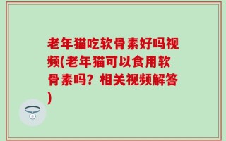 老年猫吃软骨素好吗视频(老年猫可以食用软骨素吗？相关视频解答)