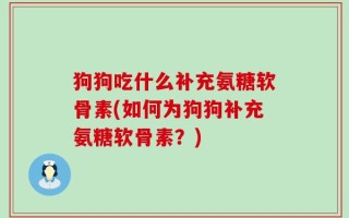 狗狗吃什么补充氨糖软骨素(如何为狗狗补充氨糖软骨素？)