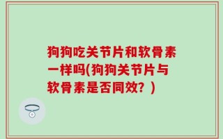 狗狗吃关节片和软骨素一样吗(狗狗关节片与软骨素是否同效？)