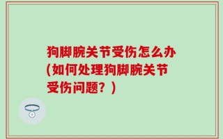 狗脚腕关节受伤怎么办(如何处理狗脚腕关节受伤问题？)