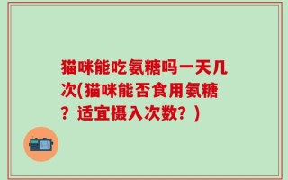 猫咪能吃氨糖吗一天几次(猫咪能否食用氨糖？适宜摄入次数？)
