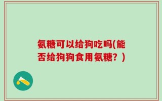 氨糖可以给狗吃吗(能否给狗狗食用氨糖？)