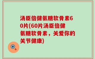 汤臣倍健氨糖软骨素60片(60片汤臣倍健氨糖软骨素，关爱你的关节健康)