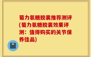 葡力氨糖胶囊推荐测评(葡力氨糖胶囊效果评测：值得购买的关节保养佳品)