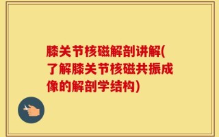 膝关节核磁解剖讲解(了解膝关节核磁共振成像的解剖学结构)