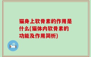 猫身上软骨素的作用是什么(猫体内软骨素的功能及作用简析)