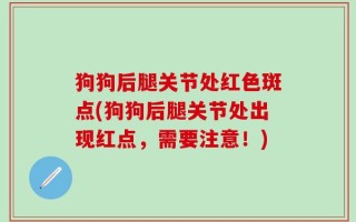 狗狗后腿关节处红色斑点(狗狗后腿关节处出现红点，需要注意！)