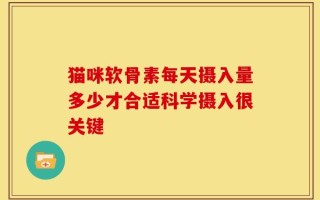猫咪软骨素每天摄入量多少才合适科学摄入很关键