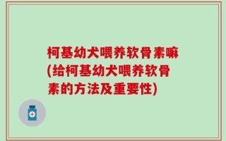 柯基幼犬喂养软骨素嘛(给柯基幼犬喂养软骨素的方法及重要性)