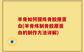羊骨如何提炼骨胶原蛋白(羊骨炼制骨胶原蛋白的制作方法详解)