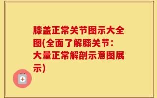 膝盖正常关节图示大全图(全面了解膝关节：大量正常解剖示意图展示)