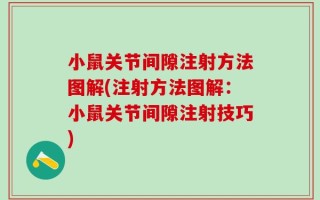 小鼠关节间隙注射方法图解(注射方法图解：小鼠关节间隙注射技巧)