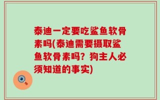 泰迪一定要吃鲨鱼软骨素吗(泰迪需要摄取鲨鱼软骨素吗？狗主人必须知道的事实)