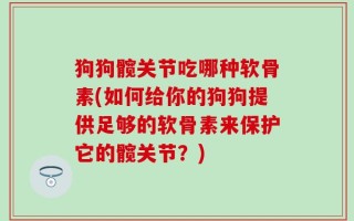 狗狗髋关节吃哪种软骨素(如何给你的狗狗提供足够的软骨素来保护它的髋关节？)