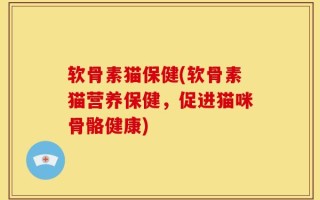 软骨素猫保健(软骨素猫营养保健，促进猫咪骨骼健康)