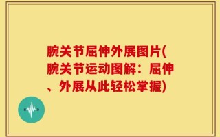 腕关节屈伸外展图片(腕关节运动图解：屈伸、外展从此轻松掌握)