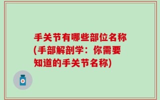 手关节有哪些部位名称(手部解剖学：你需要知道的手关节名称)