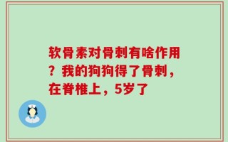 软骨素对骨刺有啥作用？我的狗狗得了骨刺，在脊椎上，5岁了