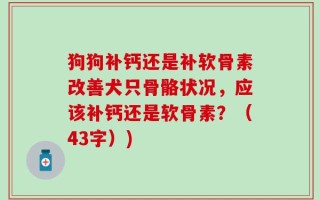 狗狗补钙还是补软骨素改善犬只骨骼状况，应该补钙还是软骨素？（43字）)