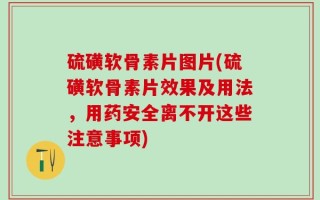 硫磺软骨素片图片(硫磺软骨素片效果及用法，用药安全离不开这些注意事项)