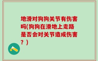 地滑对狗狗关节有伤害吗(狗狗在滑地上走路是否会对关节造成伤害？)