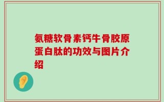 氨糖软骨素钙牛骨胶原蛋白肽的功效与图片介绍