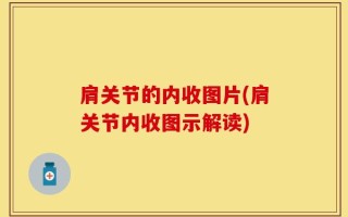 肩关节的内收图片(肩关节内收图示解读)