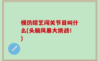 模仿综艺闯关节目叫什么(头脑风暴大挑战！)